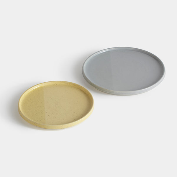 Sediment plates / Grey & yellow