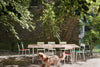 A gorgeous garden on a sunny summer day. A large dining table with a pale pink table top is surrounded by colourful dining chairs. A beautiful brown dog in the foreground. A brick wall in the background. Leafy tree branches over the garden furniture.