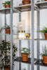 Cactuslamp