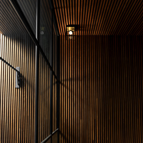Caged Wet / Ceiling