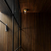 Caged Wet / Ceiling