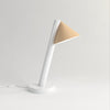 Tube w globes and cones desk light / cone