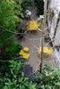 Aligned Stool Yellow