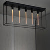 Caged Ceiling 5.0